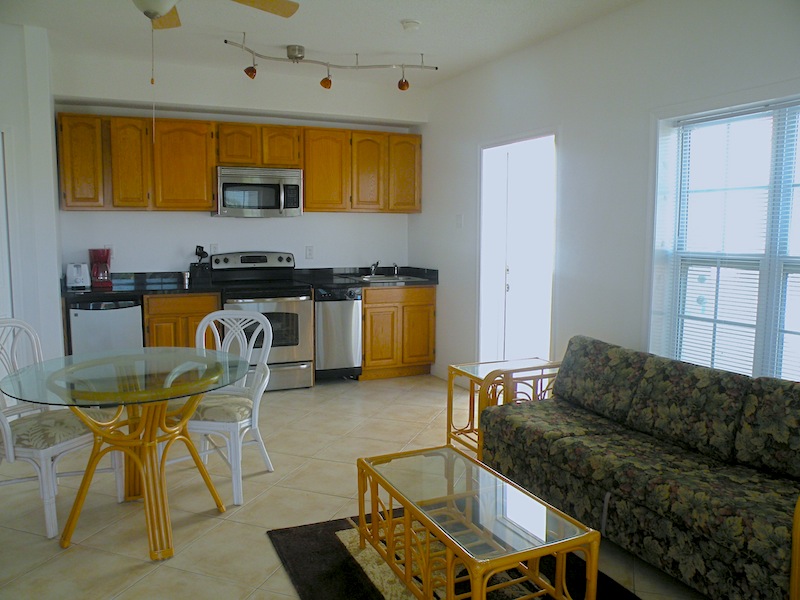 Open concept living room and full kitchen